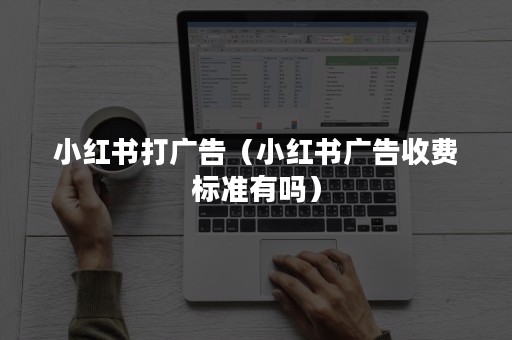 小红书打广告（小红书广告收费标准有吗）