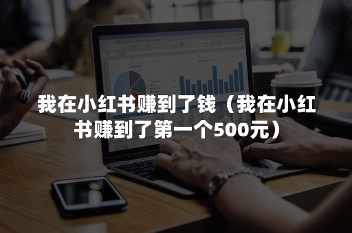 我在小红书赚到了钱（我在小红书赚到了第一个500元）