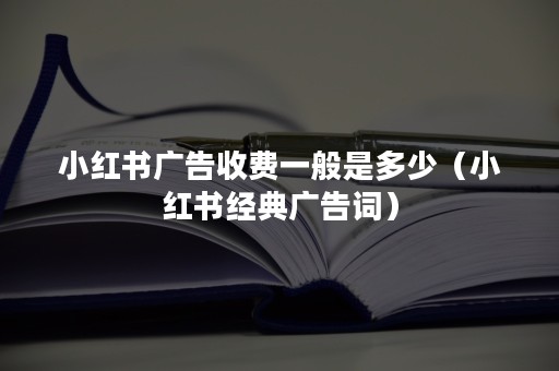 小红书广告收费一般是多少（小红书经典广告词）