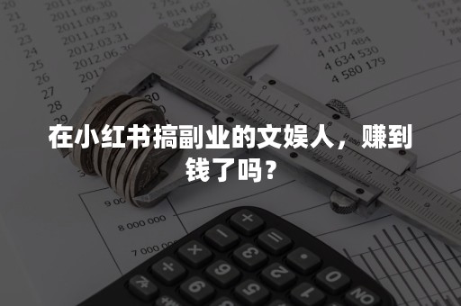 在小红书搞副业的文娱人，赚到钱了吗？