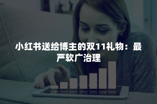 小红书送给博主的双11礼物：最严软广治理