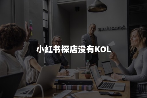 小红书探店没有KOL