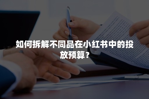 如何拆解不同品在小红书中的投放预算？