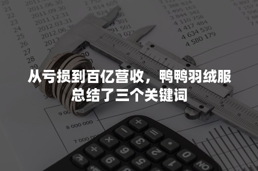 从亏损到百亿营收，鸭鸭羽绒服总结了三个关键词