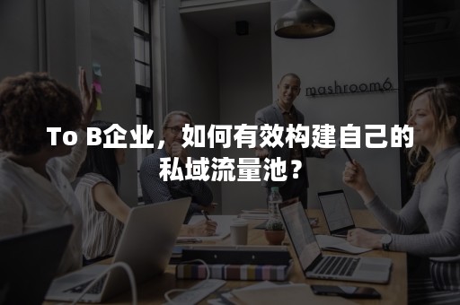 To B企业，如何有效构建自己的私域流量池？