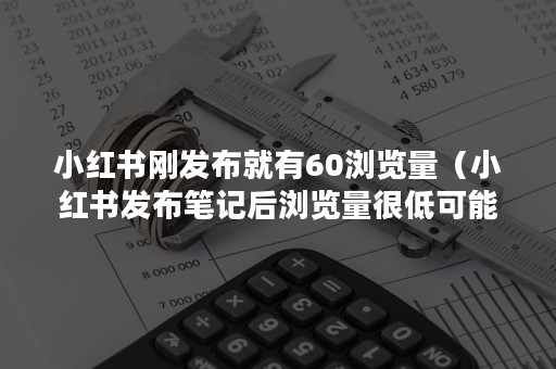 小红书刚发布就有60浏览量（小红书发布笔记后浏览量很低可能的原因有）