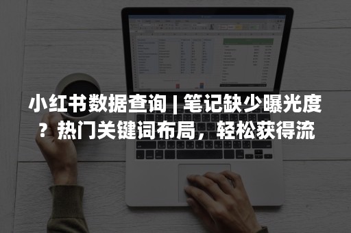 小红书数据查询 | 笔记缺少曝光度？热门关键词布局，轻松获得流量助推！