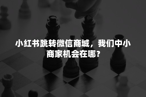 小红书跳转微信商城，我们中小商家机会在哪？