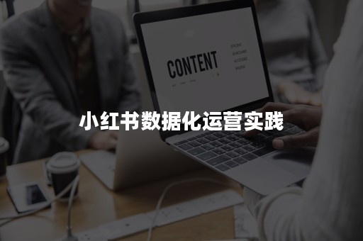 小红书数据化运营实践