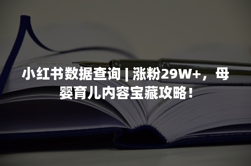 小红书数据查询 | 涨粉29W+，母婴育儿内容宝藏攻略！