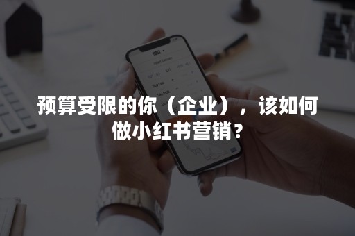 预算受限的你（企业），该如何做小红书营销？