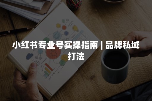 小红书专业号实操指南 | 品牌私域打法