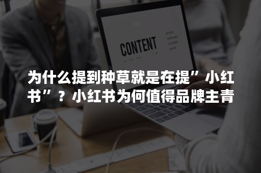 为什么提到种草就是在提”小红书”？小红书为何值得品牌主青睐？