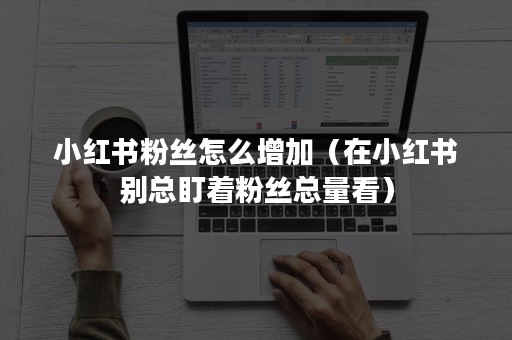 小红书粉丝怎么增加（在小红书别总盯着粉丝总量看）