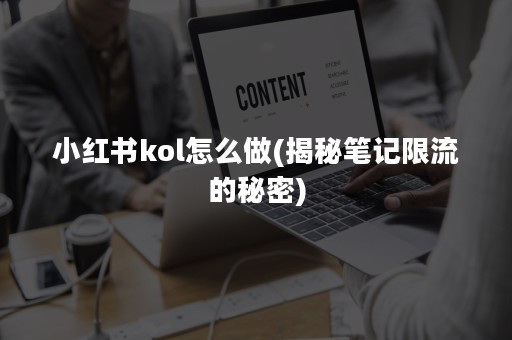 小红书kol怎么做(揭秘笔记限流的秘密)