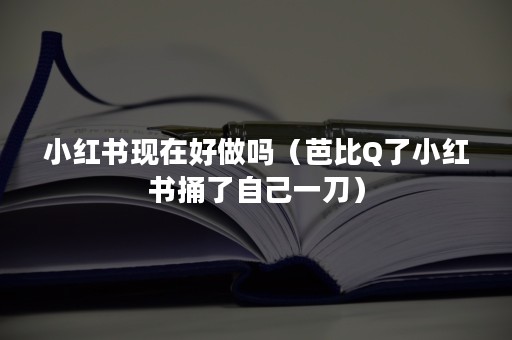 小红书现在好做吗（芭比Q了小红书捅了自己一刀）