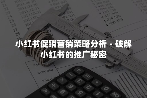 小红书促销营销策略分析 - 破解小红书的推广秘密