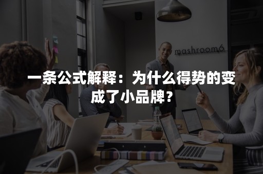 一条公式解释：为什么得势的变成了小品牌？