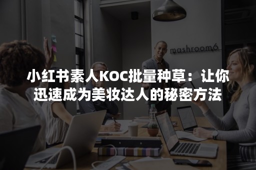 小红书素人KOC批量种草：让你迅速成为美妆达人的秘密方法