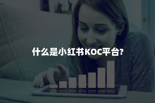 什么是小红书KOC平台?