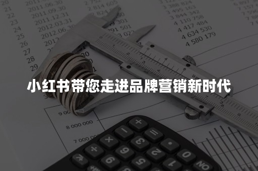 小红书带您走进品牌营销新时代