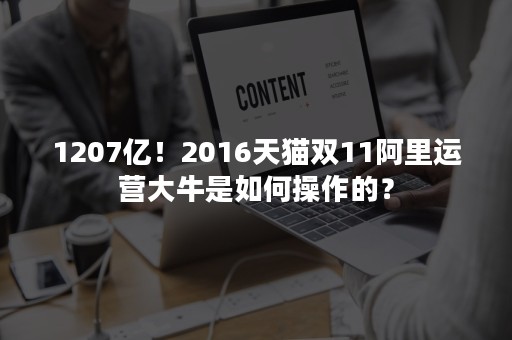 1207亿！2016天猫双11阿里运营大牛是如何操作的？