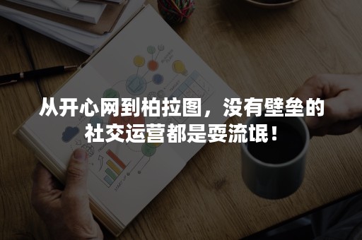 从开心网到柏拉图，没有壁垒的社交运营都是耍流氓！