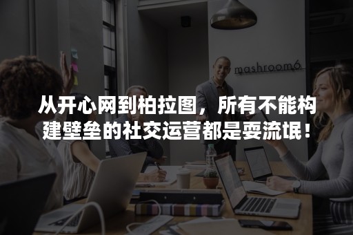 从开心网到柏拉图，所有不能构建壁垒的社交运营都是耍流氓！