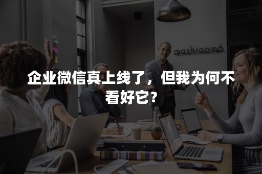 企业微信真上线了，但我为何不看好它？