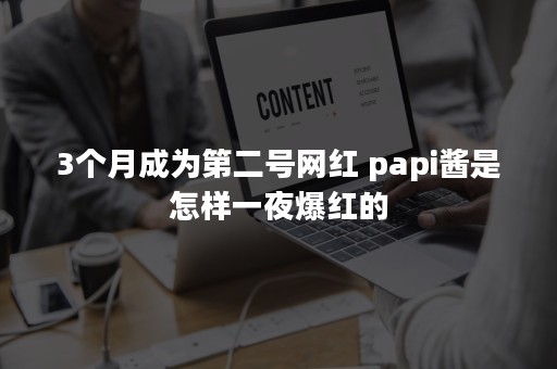 3个月成为第二号网红 papi酱是怎样一夜爆红的