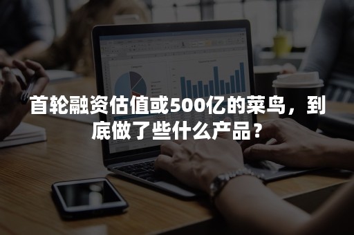 首轮融资估值或500亿的菜鸟，到底做了些什么产品？