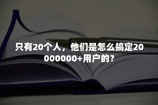 只有20个人，他们是怎么搞定20000000+用户的？