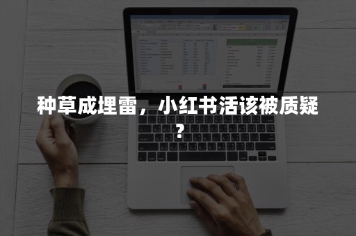 种草成埋雷，小红书活该被质疑？