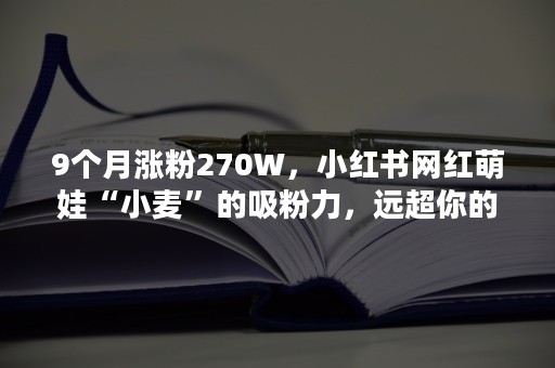 9个月涨粉270W，小红书网红萌娃“小麦”的吸粉力，远超你的想象