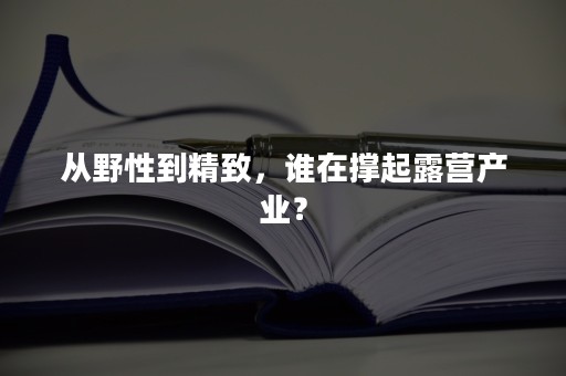 从野性到精致，谁在撑起露营产业？