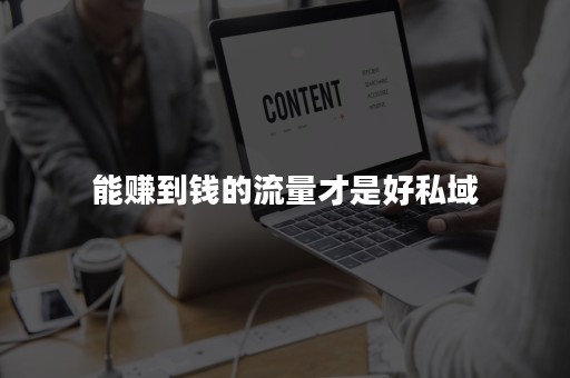 能赚到钱的流量才是好私域