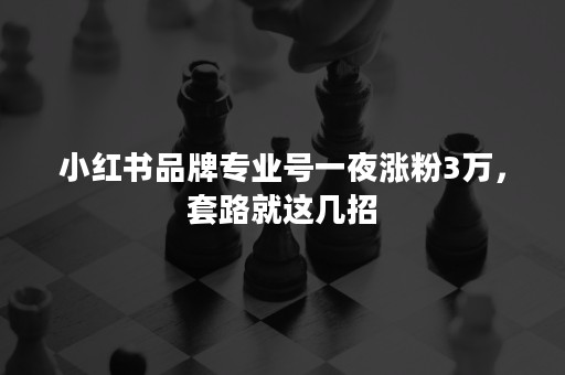 小红书品牌专业号一夜涨粉3万，套路就这几招