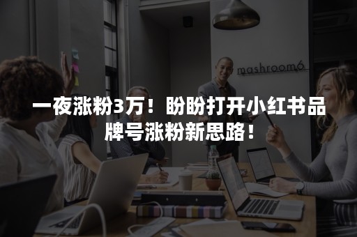 一夜涨粉3万！盼盼打开小红书品牌号涨粉新思路！