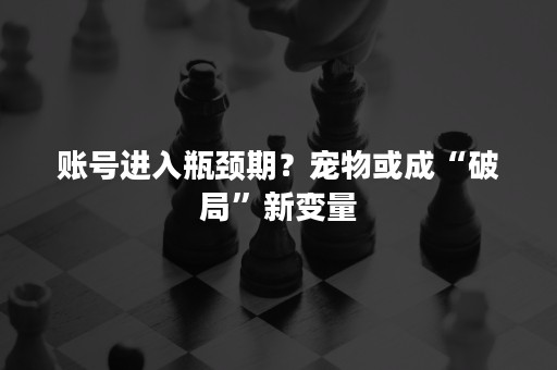 账号进入瓶颈期？宠物或成“破局”新变量