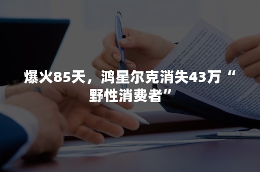 爆火85天，鸿星尔克消失43万“野性消费者”