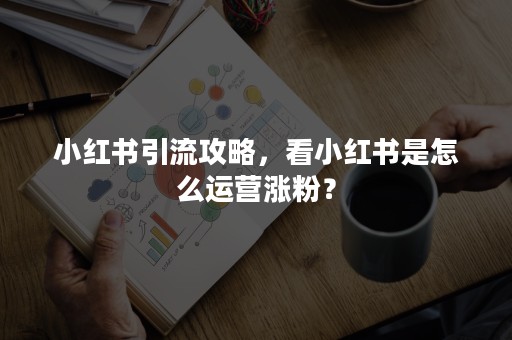 小红书引流攻略，看小红书是怎么运营涨粉？