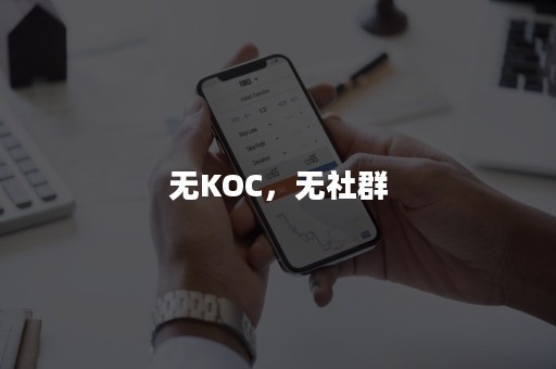 无KOC，无社群