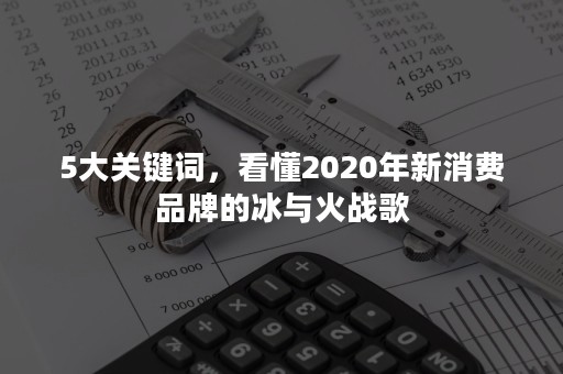 5大关键词，看懂2020年新消费品牌的冰与火战歌