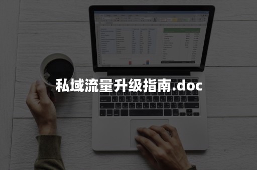 私域流量升级指南.doc