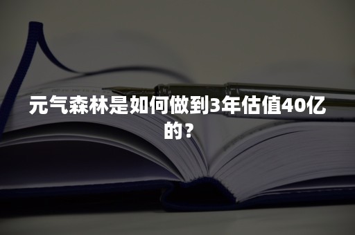 元气森林是如何做到3年估值40亿的？