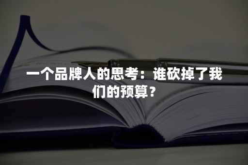 一个品牌人的思考：谁砍掉了我们的预算？