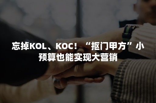 忘掉KOL、KOC！“抠门甲方”小预算也能实现大营销