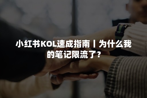 小红书KOL速成指南丨为什么我的笔记限流了？