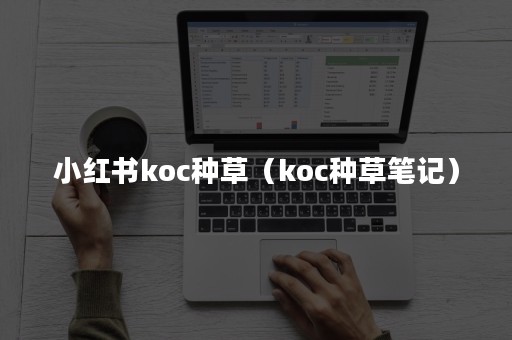 小红书koc种草（koc种草笔记）