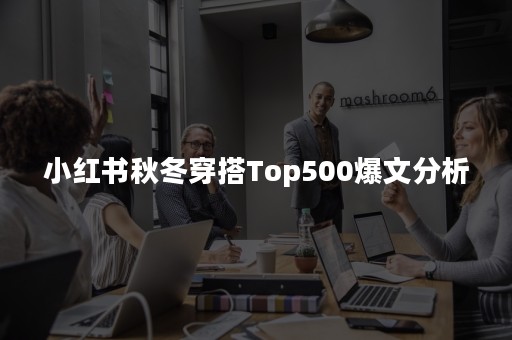 小红书秋冬穿搭Top500爆文分析